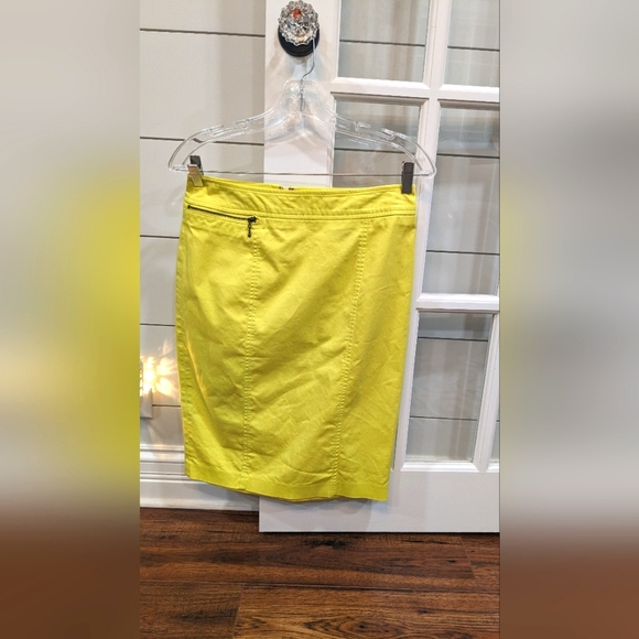 Skirt - Picture 1 of 2